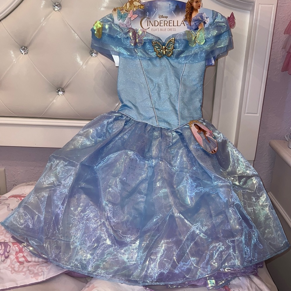 Cinderella dress